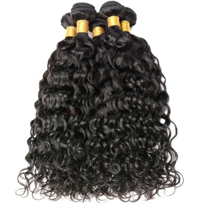 Cuticle Aligned Virgin 100% Real Water Wave Hair Bundles 10a Mink Brazilian Water Curls Human Hair