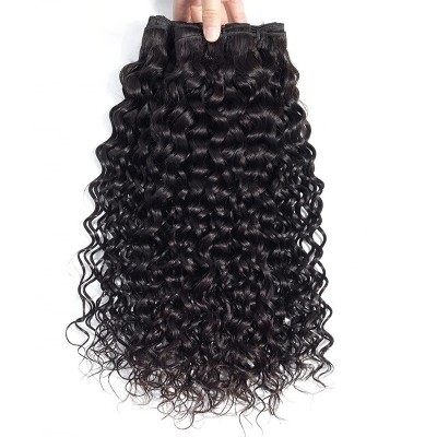 The Best Hair Vendors Virgin Indian Curly Hair Weave 100 Unprocessed Raw Human Hair